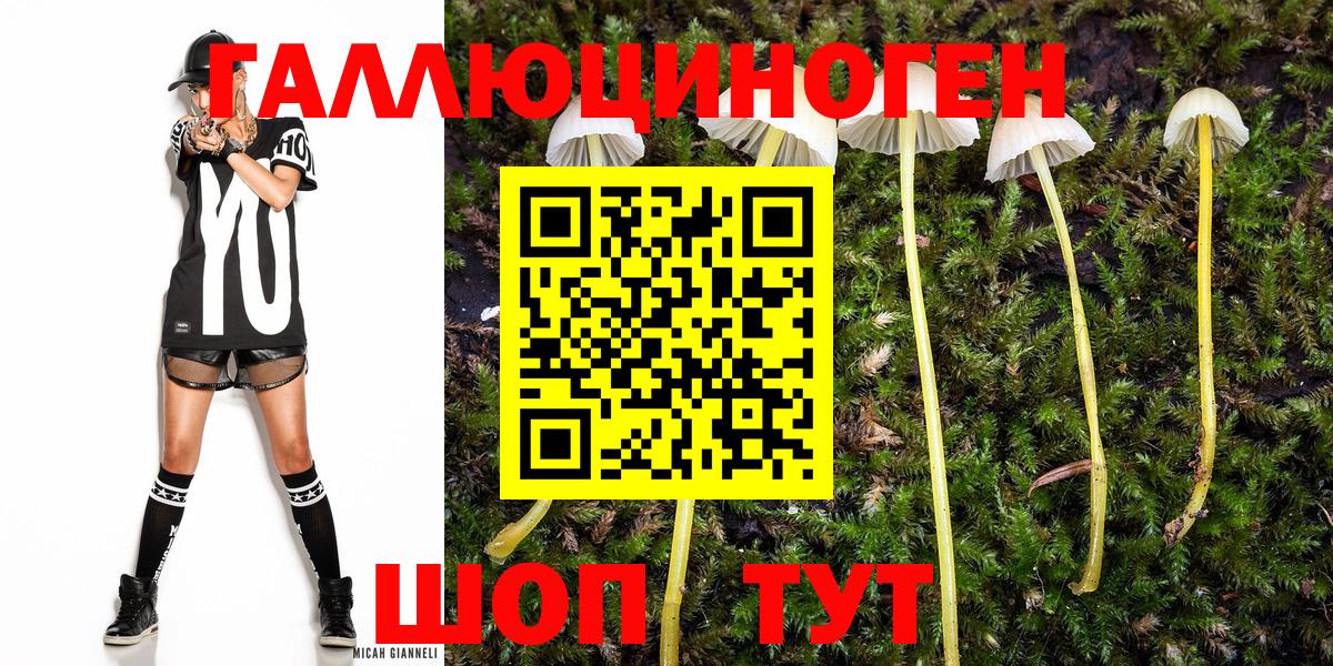 Псилоцибиновые грибы ЛСД  Вход с VPN  Октябрьский  Галлюциногенные грибы Psilocybine cubensis 